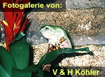Zur Fotogalerie von Verena & Harald K&ouml;hler
