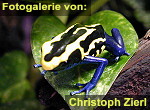 Zur Fotogalerie von Christoph Zierl
