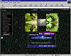 Aris Frogpage
